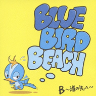 BLUE BIRD BEACH